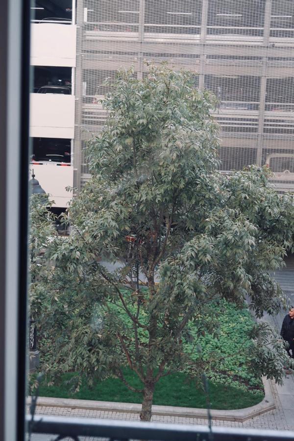 Belle Apartments - Obilicev Venac เบลเกรด ภายนอก รูปภาพ
