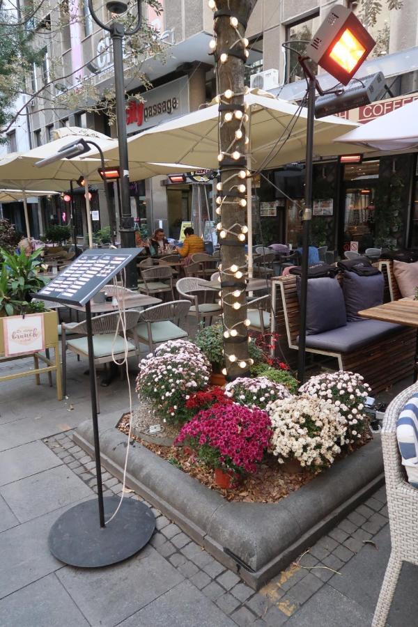 Belle Apartments - Obilicev Venac เบลเกรด ภายนอก รูปภาพ