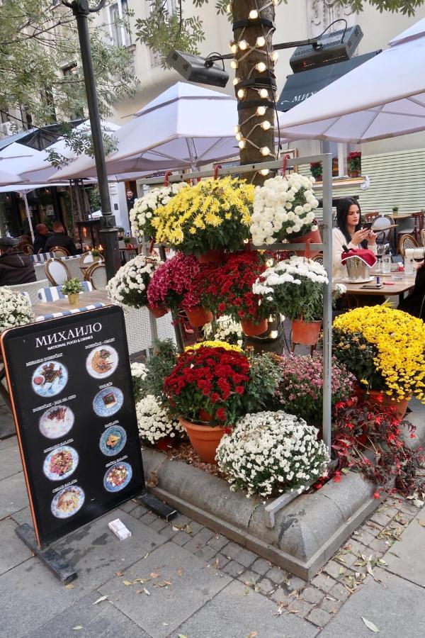 Belle Apartments - Obilicev Venac เบลเกรด ภายนอก รูปภาพ